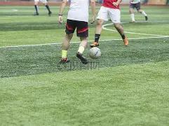 新闻联播,日精华三分,钟速递,球速体育平台,球速体育官方网站,球速体育登录入口,球速体育app下载