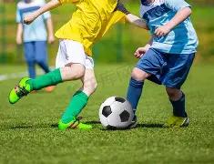 期问政,雅安育儿补,贴取消原因,球速体育平台,球速体育官方网站,球速体育登录入口,球速体育app下载