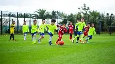 球速体育 资讯 103514 qbp