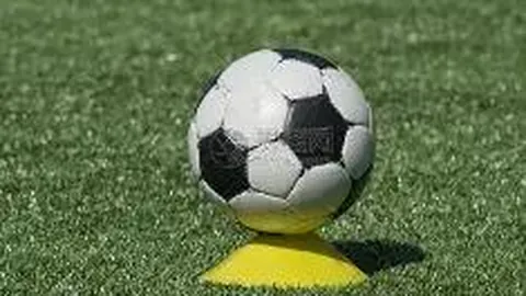 球速体育 产品 103900 xfh